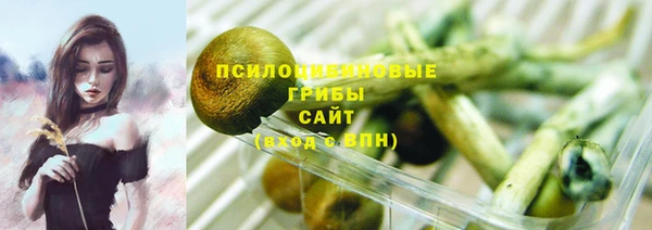 прущие крисы Осташков