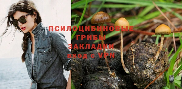 винт Остров