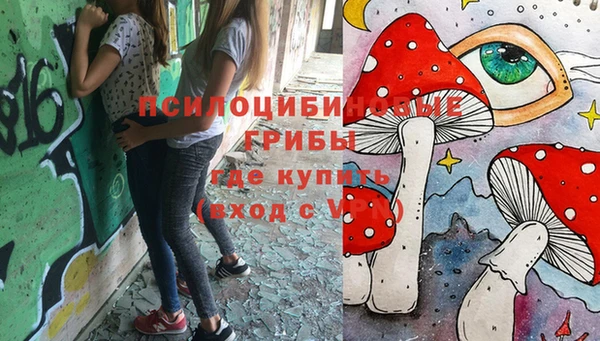 прущие крисы Осташков