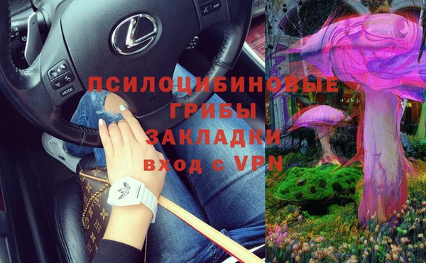 прущие крисы Осташков