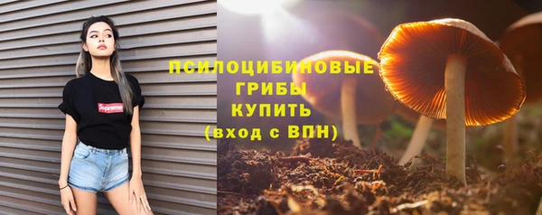 мдпв Бикин