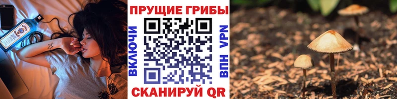 Галлюциногенные грибы мицелий  хочу   Унеча 